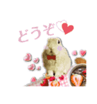 らっさん＆リラさん ほのぼのスタンプ3（個別スタンプ：23）
