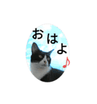 ふうきん③（個別スタンプ：1）