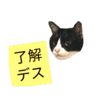 ふうきん③（個別スタンプ：7）