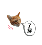 ふうきん③（個別スタンプ：8）