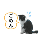 ふうきん③（個別スタンプ：29）