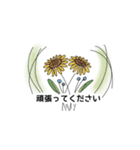 使いやすい大人の花敬語・挨拶（個別スタンプ：11）