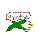 横須賀シーガルズsupportersスタンプ（個別スタンプ：13）