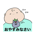 おしゃぶりキンカチョウスタンプ（個別スタンプ：31）