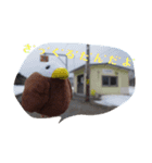 さっくるたん（個別スタンプ：1）