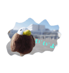 さっくるたん（個別スタンプ：4）