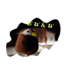 さっくるたん（個別スタンプ：6）
