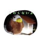 さっくるたん（個別スタンプ：13）