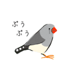 コトリヨガ【アマビエみたいな小鳥たち】（個別スタンプ：26）