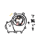 黒柴お玉（個別スタンプ：2）