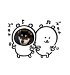 黒柴お玉（個別スタンプ：9）