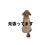 ごんちゃん家のティンク2（個別スタンプ：19）