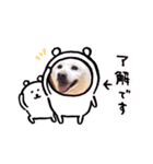 イッヌのララたん（個別スタンプ：7）