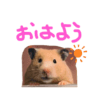 つーとうー（個別スタンプ：5）