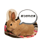 つーとうー（個別スタンプ：11）