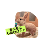 つーとうー（個別スタンプ：14）