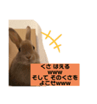 つーとうー（個別スタンプ：16）