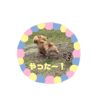 小林家のルゥ（個別スタンプ：15）