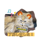 誰にでも使えるココちゃんスタンプ（個別スタンプ：4）