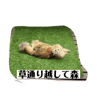 誰にでも使えるココちゃんスタンプ（個別スタンプ：5）