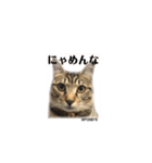 @THREEbrother（個別スタンプ：7）