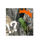 リアルなかえるのきもち 2（個別スタンプ：5）