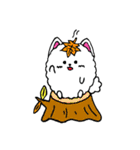 うちの自慢のポメラニアン 2（個別スタンプ：23）