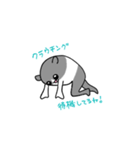 USBうさぎ（個別スタンプ：17）