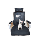 今日のぺこみ（個別スタンプ：2）