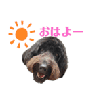 マーチ スタンプ（個別スタンプ：1）