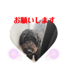 マーチ スタンプ（個別スタンプ：10）