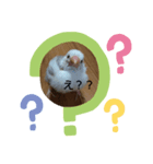 チッチと一緒  2（個別スタンプ：1）
