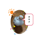 チッチと一緒  2（個別スタンプ：6）