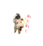 サクときどきガク。（個別スタンプ：7）