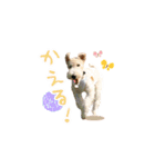 サクときどきガク。（個別スタンプ：9）