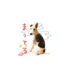 サクときどきガク。（個別スタンプ：12）