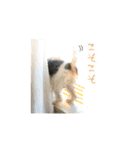 サクときどきガク。（個別スタンプ：18）