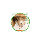サクときどきガク。（個別スタンプ：20）