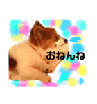 るいるるららのスタンプ（個別スタンプ：2）
