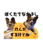 るいるるららのスタンプ（個別スタンプ：6）