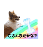 るいるるららのスタンプ（個別スタンプ：7）