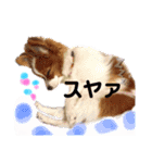 るいるるららのスタンプ（個別スタンプ：8）