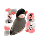 ぶんたろうくんのスタンプ①（個別スタンプ：1）
