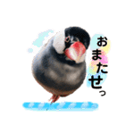 ぶんたろうくんのスタンプ①（個別スタンプ：2）