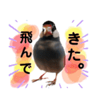 ぶんたろうくんのスタンプ①（個別スタンプ：3）