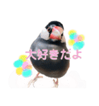 ぶんたろうくんのスタンプ①（個別スタンプ：5）
