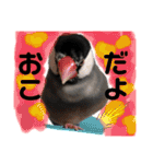 ぶんたろうくんのスタンプ①（個別スタンプ：8）