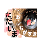 ぶんたろうくんのスタンプ①（個別スタンプ：9）