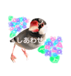 ぶんたろうくんのスタンプ①（個別スタンプ：11）