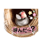 ぶんたろうくんのスタンプ①（個別スタンプ：14）